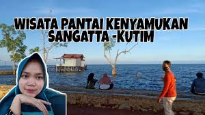 We did not find results for: Wisata Pantai Kenyamukan Sangatta Kutim Youtube