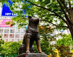 Böyle film izlemedim arkadaş :( resmen ağladım lan filmi izlerken, şimdiye kadar hiç yapmadığım bişeydi bu. Hachiko Statue Das Offizielle Tourismusportal Fur Tokyo Go Tokyo