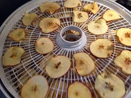 Dried seaweed contains no moisture. Drying Fruits Home Garden Information Center