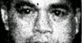 Law And Behold!: NARDONG PUTIK