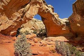 Kategori capitol reef national park populer. Hickman Bridge Picture Of The Hickman Bridge Trail Capitol Reef National Park Tripadvisor