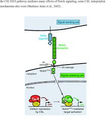 نتیجه جستجوی لغت [notch] در گوگل