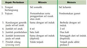 Selama interfase, mikrotubulus memanjang dari sentrosom ini. Reproduksi Sel Pustaka Belajar
