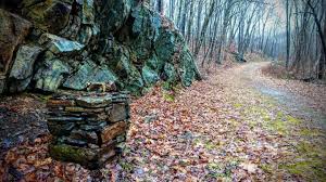 The camp sites are largely on big grassy sites, situated in pairs or well enough away from each other as compared to most campgrounds i've been to. Macedonia Brook Trail Loop Guide