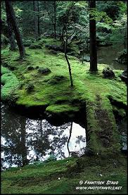 Saiho Ji Kyoto Japan Photo By Frantisek Staud Jardin Japonais Jardins