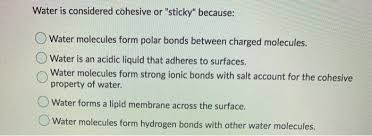 Color all oxygen redall hydrogen bluetwo electrons yellow. Solved Water Is Considered Cohesive Or Sticky Because Chegg Com