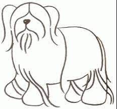Check spelling or type a new query. Sheepdog Drawing Easy