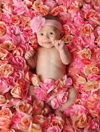 You can make screen standout with the babies photos with flowers! Baby Lying In Flowers Stock Photo 04 Free Download