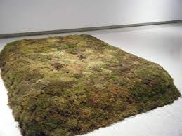 Moss Bed Queen By Meg Webster Plant Art Environmental Art Land Art