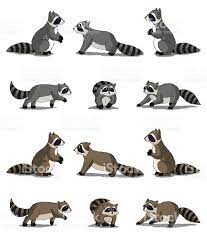 Set Of Raccoon Images Digital Painting Full Color Cartoon Style Raccoon Illustration Raccoon Drawing Raccoon Art