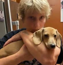 Where can I get two female cats fixed for free or very cheap in albert lea? 