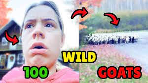 Tara Mcdivitt's Instagram, Twitter & Facebook