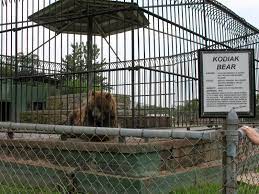 Space farms zoo and museum. A Review Of Space Farms Zoo Museum The Jersey Momma