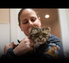 The rescued cat is recovering after the fatal incident at Bryce Canyon in  Utah.