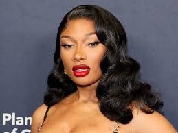 Megan Thee Stallion & Plastic Surgery: Did She Get a Nose Job?