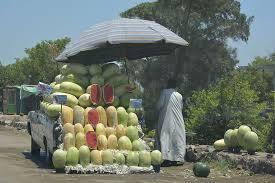 (pejorative, slang) an environmentalist with socialist leanings (from the similarity to the fruit, being green on the outside, and red on the inside). Watermelon Market Street Grocery Street Shop Egypt Cairo Old Man Arabic Man Travel Pxfuel