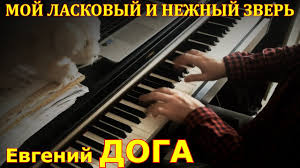 скачать песню из кинофильма мой ласковый и нежный зверь Moj Laskovyj I Nezhnyj Zver Evgenij Doga Youtube Muzyka Serdca Muzykalnyj Klass Mirovaya Muzyka