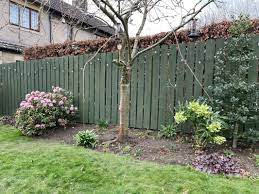 Wickes Shed Fence Timbercare