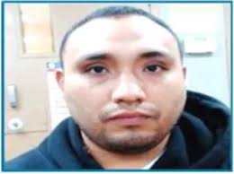 ICE Arrests Worst of Worst Criminal Illegal Aliens Including Pedophiles,  Violent Assailants, and Drug Traffickers