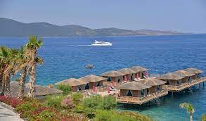 Sezgin baran korkmaz, 6 aralık'ta yurtdışına gidiyor. Iste Sedat Peker In Iddia Ettigi Veyis Ates In Bodrum Paramount Otel Tatili Muhtesem Villadan Karizmatik Poz Habermotto