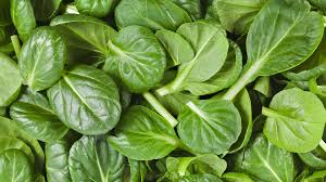 How To Eat A Low Oxalate Diet Spinach Benefits Spinach Health Benefits Kidney Health