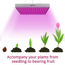 Things to consider before buying led grow light. Amazon Com 45w Led Grow Light Unifun New Light Plant Bulbs Plant Growing Bulb For Hydroponic Aquat Led Grow Lights Plants Growing Bulbs Best Led Grow Lights