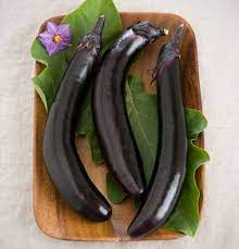 Orient Express F1 Eggplant Seed Johnny S Selected Seeds Eggplant Seeds Garden Seeds Eggplant