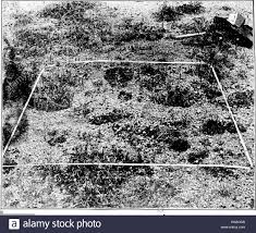 Research Methods In Ecology Plant Ecology I68 The