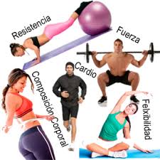 La condición física y la salud | PEDRO CHOURIO – EDUCACIÓN FÍSICA DEPORTE,  RECREACIÓN Y SALUD