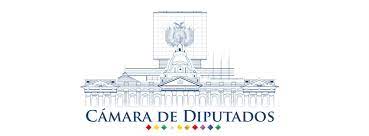 La cámara de diputados, es la cámara baja del congreso de la unión. Camara De Diputados Del Estado Plurinacional De Bolivia Videos Facebook
