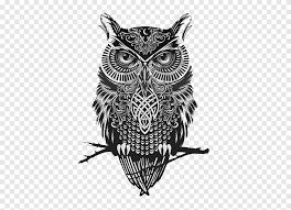 Vol.2 dragon wings tattoo brush pack 5 thick tribal brushes 20 mandala ps brushes abr. Black Owl Great Horned Owl Tattoo Flash Idea Owl Ink Animals Png Pngegg