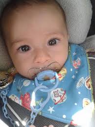 El taller dels pèls