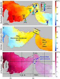 Maybe you would like to learn more about one of these? Frontiers Fine Scale Biogeographical Boundary Delineation And Sub Population Resolution In The Symbiodinium Thermophilum Coral Symbiont Group From The Persian Arabian Gulf And Gulf Of Oman Marine Science