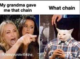 66 Woman Yelling At A Cat Memes That Still Slap In 2021
