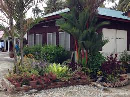 Malam itu, langit di homestay hj. Kampung Dorani Malaysian Homestay Adventures With Family