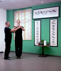 Melden sie sich noch heute an, um mit unseren trainings inneren frieden und balance zu finden. Vade Mecum Academy E Learning Plattform Fur Kung Fu Unterricht