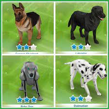 Learn more about how to do that with this simple guide to sim activation. The Sims Freeplay Guide To Pets The Girl Who Games