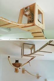 La casa tiene tanto espacio que acomodará a tres gatos. 10 Boas Ideias De Espacos Em Casa Para Seus Gatos Brincarem Prateleiras Para Gatos Gatinhos Brincando Caixas Para Gatos