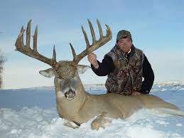 World Record Whitetail Deer World Record Whitetail Deer Shot In Canada Big Deer Whitetail Deer Big Animals