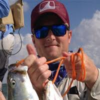 30+ "Steve Sonnier" profiles