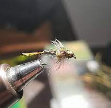 Halfback Copper John Pheasant Tail Variation Tied By Corbin Christensen Fly Fishing Colorado Fly Fishing Fly Patterns