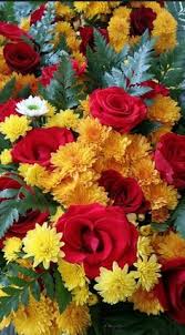 Collection of the best smiling wallpapers. 52 Lovely Flowers Ideas Flowers Beautiful Flowers Pretty Flowers