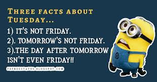 Find joy in the wonders and beauty that present themselves in each moment. Tuesday Morning Quotes And Sayings With Pictures In 2021 Happy Tuesday Quotes Morning Quotes Happy Tuesday Morning
