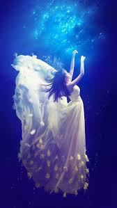 الفن ضوء قنديل البحر اللافقارية الخلفية Fantasy Photography Water Photography Underwater Photos