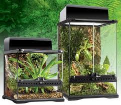 Natural Terrarium Mini Advanced Reptile Habitat Terrarium For Sale Glass Terrarium Succulent Terrarium