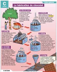 La Fabrication Du Chocolat Mon Quotidien Le Seul Journal D Actualite Pour Les Enfants De 1 En 2020 Fabrication Du Chocolat Fabrication Chocolat Histoire Du Chocolat