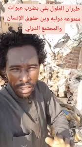 @Sudan_tweet's video Tweet