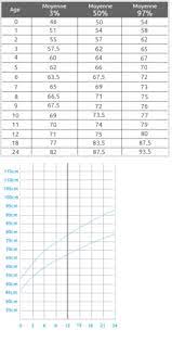 Taille Bebe Mois Par Mois