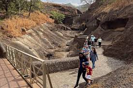 1 Day Sanjay Gandhi National Park + ...