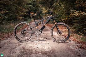 R Raymon Trailray E Seven 11 0 2020 In Review Does The Yamaha Pw X2 Motor Make This Emtb A Climbing Champion E Mountainbike Magazine